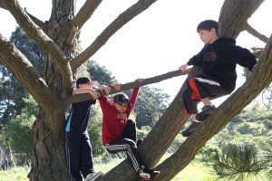 Kelly's_Wishes_2011_BDP_ 003