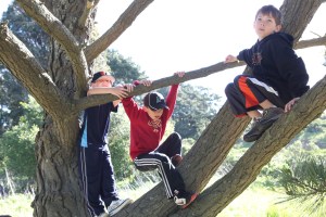 Kelly's_Wishes_2011_BDP_ 004