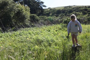 Kelly's_Wishes_2011_BDP_ 013