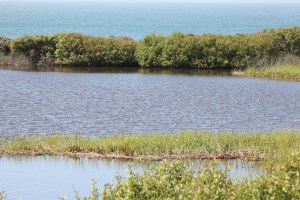 Kelly's_Wishes_2011_BDP_ 079