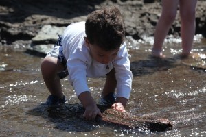 Kelly's_Wishes_2011_BDP_ 144